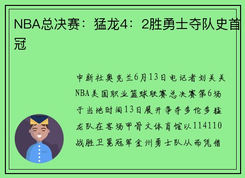 NBA总决赛：猛龙4：2胜勇士夺队史首冠